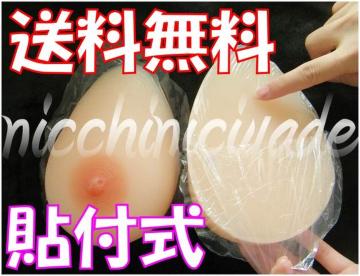 ySzQ̈̊VRoXg600glH[]