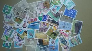 Vi62~؎50  6250[7B