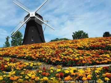 VR}[S[h̉ԎAʂPAԔpbN{Iׂei{Sł_(^o^)^