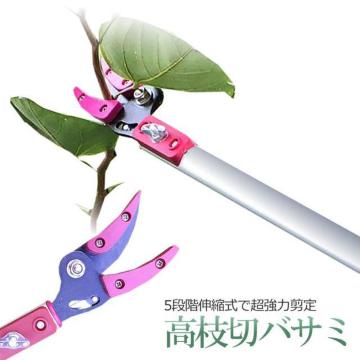 }؃oT~ 5iKLk pmRMn y  ʎ ̎ } K[fjO  }؂ TAKAEDA