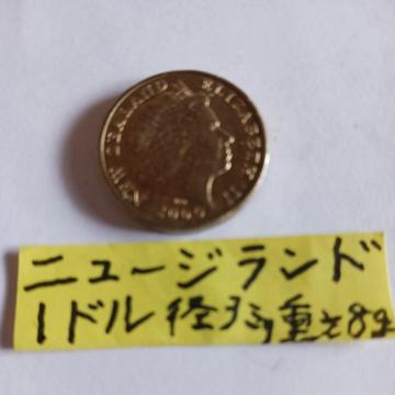 �j���[�W�����h�R�C��