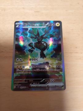 �[�N����ex�@SAR