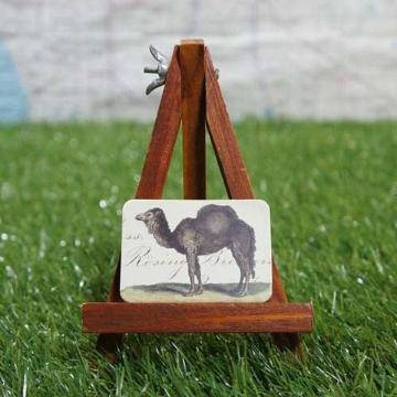 Viy}OlbgzCamel^N_@-qgRuN_-