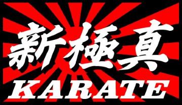 旭日 新極真  KARATE  10センチ 2枚組