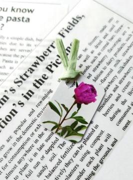 �n���h���C�h/�~�j������/�u�b�N�}�[�J�[/�ԇ@