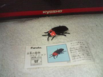 �t���^�@  ���{�̓���2  ��ݼ�����