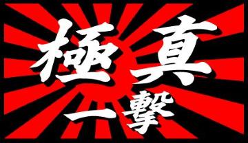 旭日 極真  一撃  10センチ 2枚組
