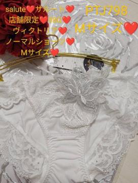 Wacoal/R[/salute/T[g/X܌/98G/BNgA/m[}V[c/X^_[hV[c/M/WHA