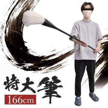 M  M ptH[}Xp 166cm  n` 厚 Bl