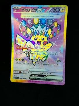 �y�����i�z�s�J�`���Eex SAR 234/193 SV8a �|�P�J ���d�u���C�J�[