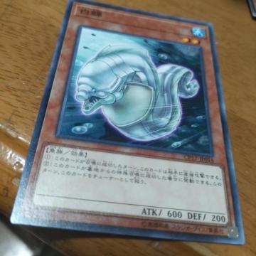 VY zCg[C