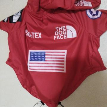 THEDOGFACE Wp[@ԁ@XL