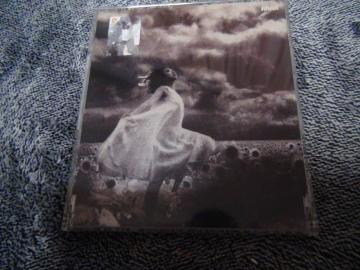 MISIA YȂX }LVVO CD !B