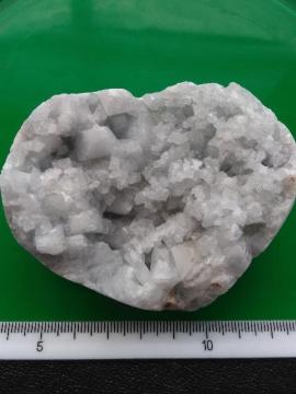 �Z���X�^�C�g�i�V�΁j����