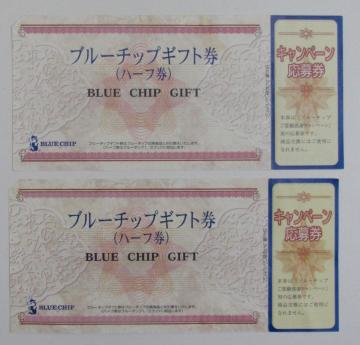 �u���[�`�b�v�M�t�g���n�[�t���Q��