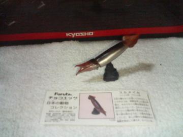 �t���^  ���{�̓���4  �X�����C�J