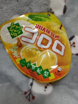 ���o���R������\���I��