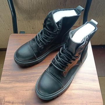 Vi 22.5cm fB[X u[c ubN  V[Y TChSA