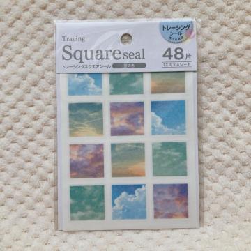 �V�i ��̐F �X�N�G�A �g���[�V���O �V�[�� �f�R �R���[�W�� �f�� �V�[���� N2m