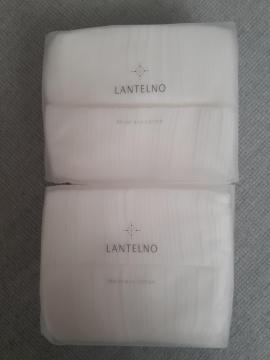 LANTELNO  CXgGA[Rbg80 2Zbg