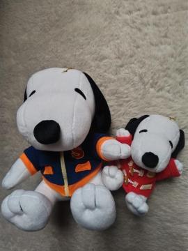 ǰ߰ ʂ  gp   280   180