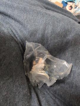 �S�ł̐n�J�v�Z���K�`���i�i