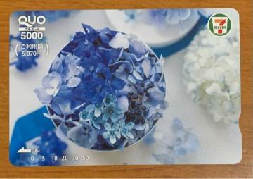 �y���������zQUO�J�[�h 5000�~�~1�� ���g�p