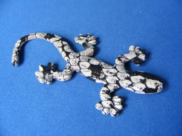  菈iIGecko QbR[/{/IRIALAؕdl ^ GuC Vigpi 