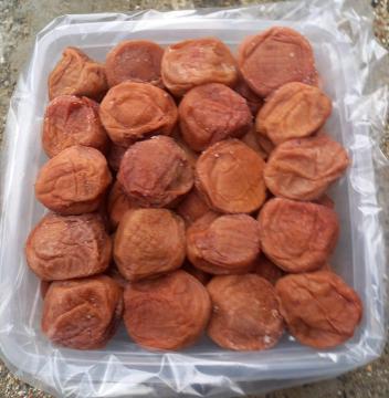 ★とても大きな紀州産南高梅梅干し★ 特大粒4L・B級傷有り(1.2キロ入り)★