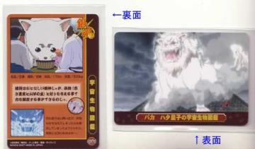 ⍰ZZgJ@n^cq̉F}ӃJ[h@Z-091@t
