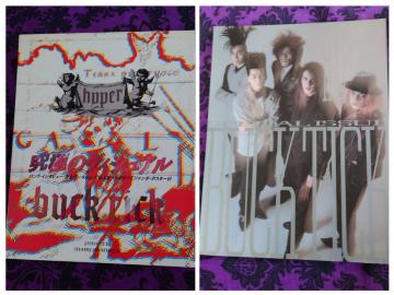 BUCK-TICK�@�r�W���A���G��2���@HYPER�@���ɂ̃r�W���A���@HYP �t�[���Y���C�g�@����