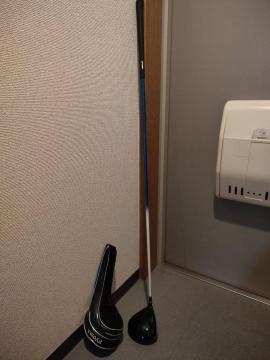 ゴルフ GOLF ドライバー シャフト  N.S.PRO Regio formula S55 RYOMA MAXIMA