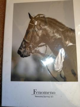 �t�F�m�[���m �񔄕i ���q