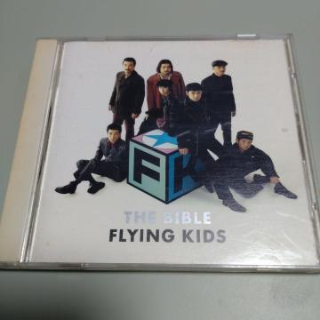 FLYINGKIDS@THE BIBLE