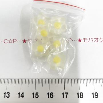 31*�۽ĐF����ި������ԁ@����ް�ށ@23