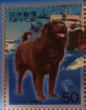 ��50�~�؎�~1�����@���J���t�g���^����ɉz�~��