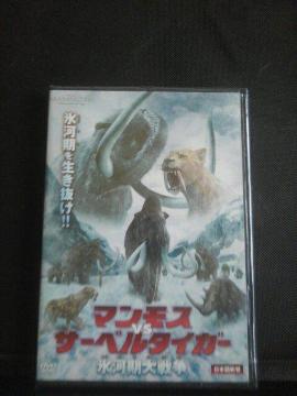 �}�����Xvs�T�[�x���^�C�K�[�X�͊���푈