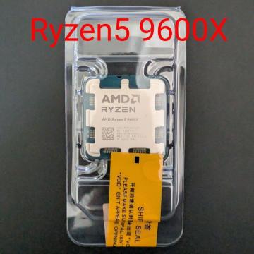 AMD Ryzen 5 9600X