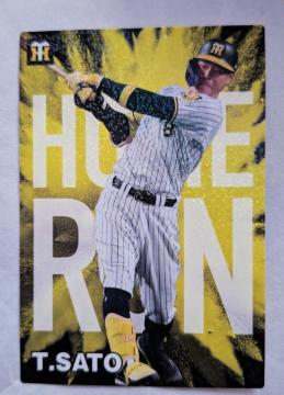 Jr[v싅`bvXJ[h2024_^CK[XPI