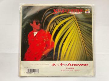 ���R���M ���̒���Answer EP���R�[�h 7�C���`�V���O�� VAP INC. 10267-07