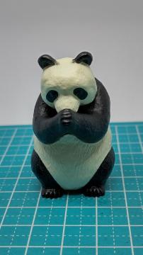 �K�`���K�`�� ���� GASSHO �t�B�M���A ���� �p���_�@�M�������e�B���J�v�Z������