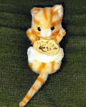 ��������V�g�@�L�@�ʂ������