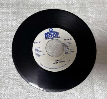 ROOF INTERNATIONAL KUNG FU FUTURE TROUBLE 7�C���` ���R�[�h ���Q�G DANCEHALL