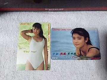 gpϵڶ1000 ΓcЂ '88/11 JRB L