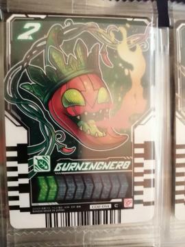 ���ʃ��C�_�[���C�h�P�~�[�g���J17