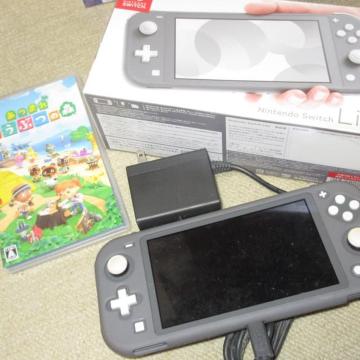 iCVSwitch LiteiO[j܂ ǂԂ̐X\tgZbg
