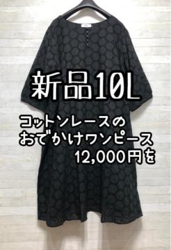 Vi10L􍕌nRbg[Xfނ̂os[X7Q531