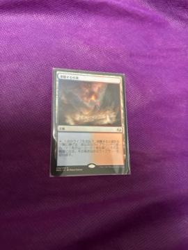 MTG �������鏬��