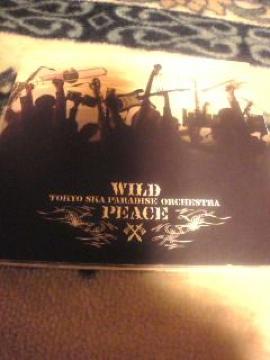 DVDtCD,޲ WILD PEACE