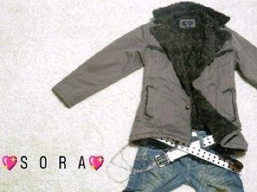 yJUNGLE STORM/ެݸٽİсzӺӺgޱ ެ